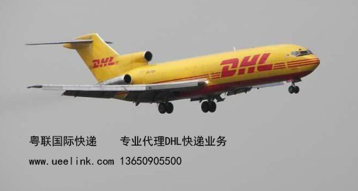 淘金DHL快递代理DHL网点